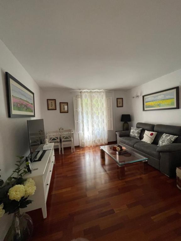 Sevilla Centro-Casco Antiguo -Vidrio 36 — Hotel in Seville