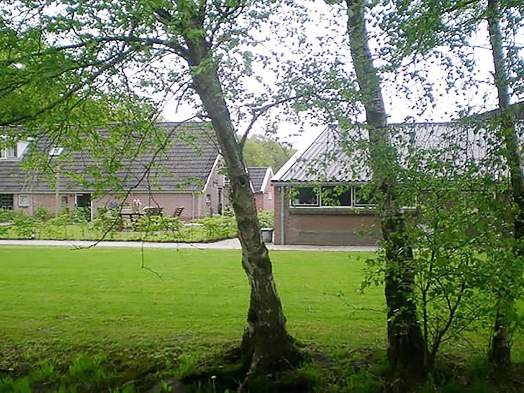 Large group house in Drenthe with bar and playing field