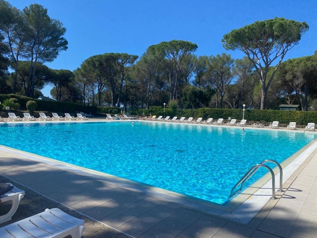 Studio climatisé avec piscine - 2