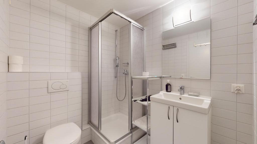 Spacious studio in a quiet area of Sierre - 4