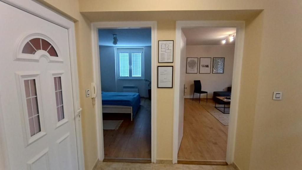Apartman Taca - 5