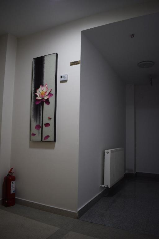 Pensiunea Arido photo