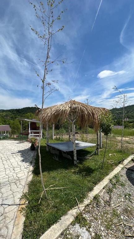 Casutele verzi din Ocnele Mari photo