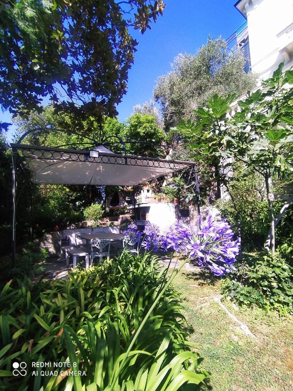 Pergolato suite - 4