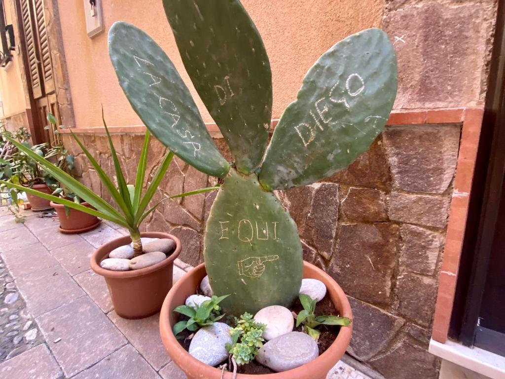 Da Diego, Termini Imerese