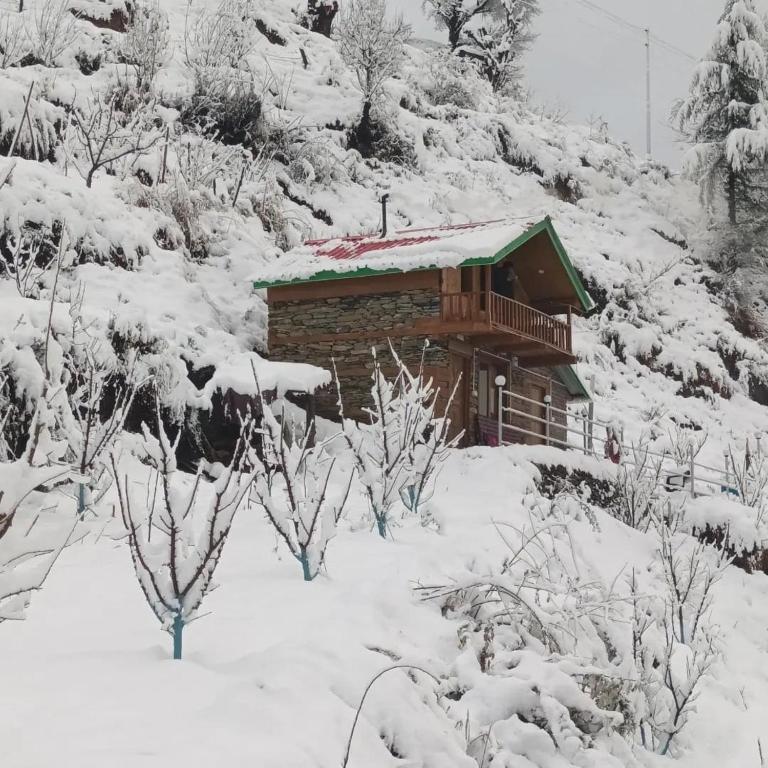 Snowfall