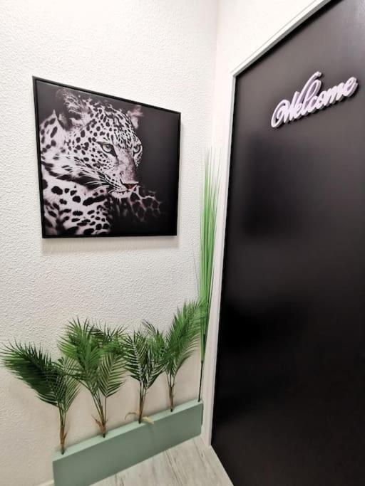 024 - Le Cellanova - Studio - wifi - 2 pers - 5