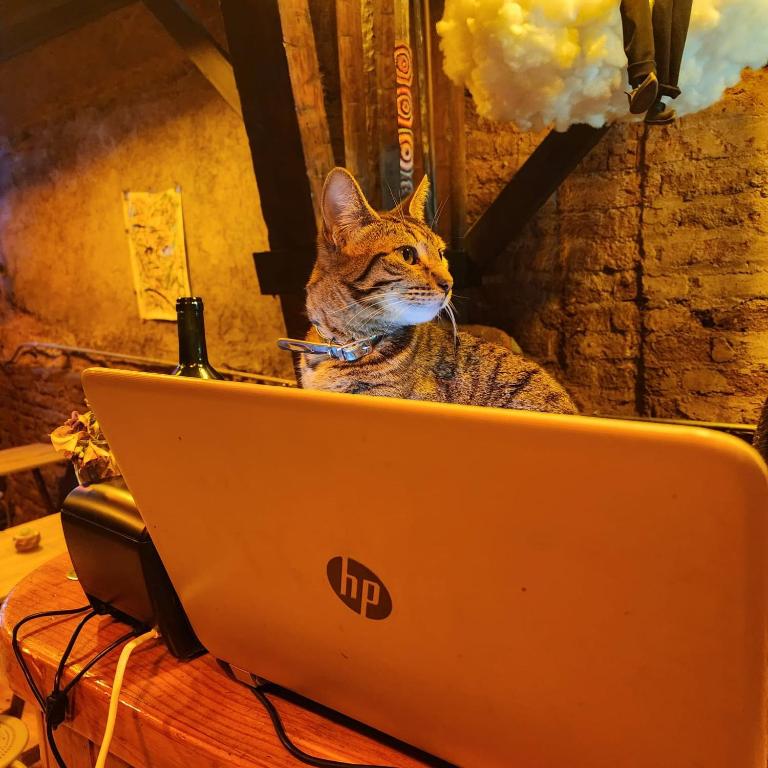 La Casa Del Puerto, Hostal cultural, Cerro Alegre - 2