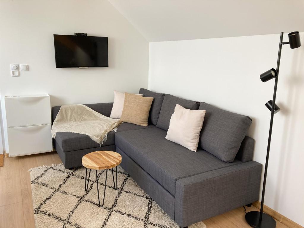 Agro Lux Apartment - Milenović - 5