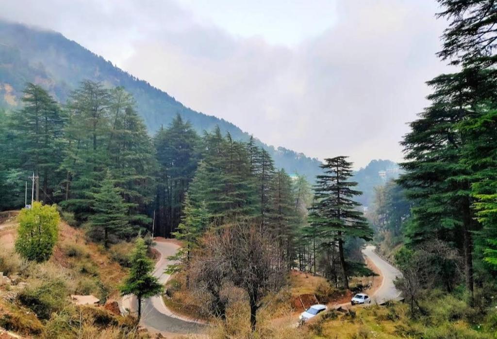 The Lake Cottage BY VRB HOTELS Mcleodganj Dharamshala photo