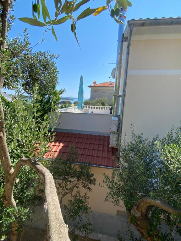 Apartman Daniela photo