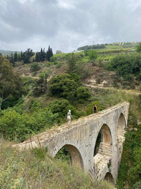 스포츠&체험활동