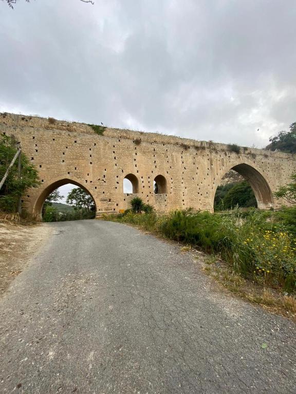 스포츠&체험활동