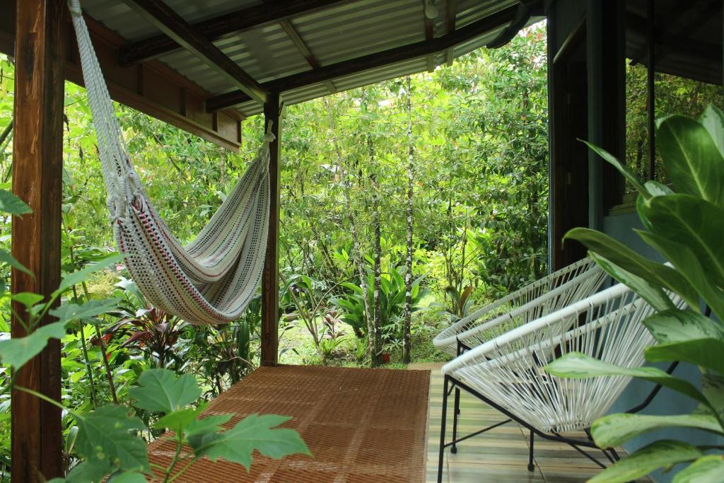 Cecropia Ecolodge photo