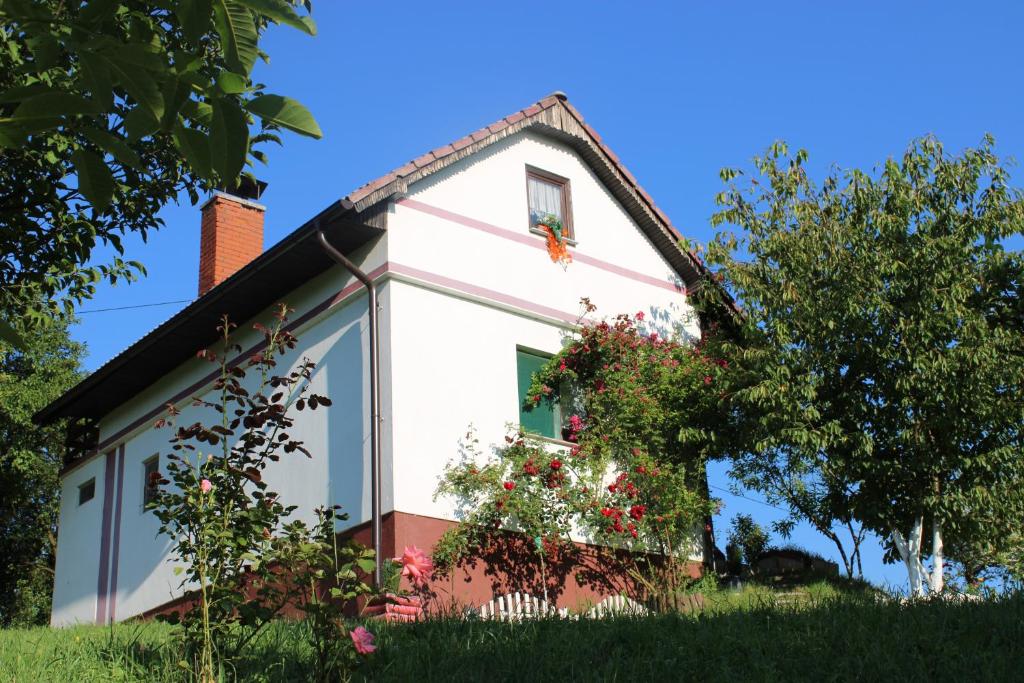Dreamhouse Bosnia - 1