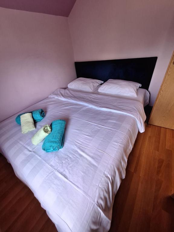 Apartman Sara Pale - Ski centar Ravna planina photo