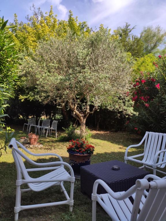 mas de l' Olivier, Arles