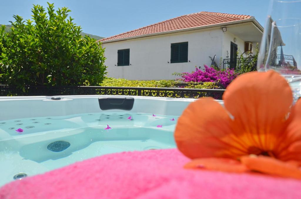 Kjara Lux Apartment - 3