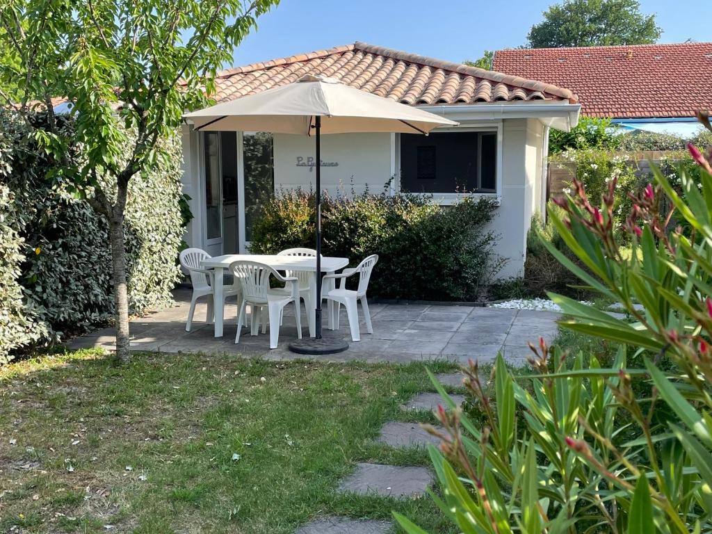 Entre bassin et forêt - 1