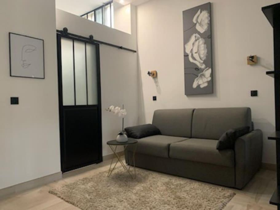 Studio loft 40m2 de charme - 2