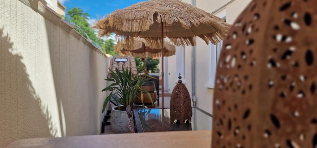 L'oiseau du paradis proche des grands buffets - 4