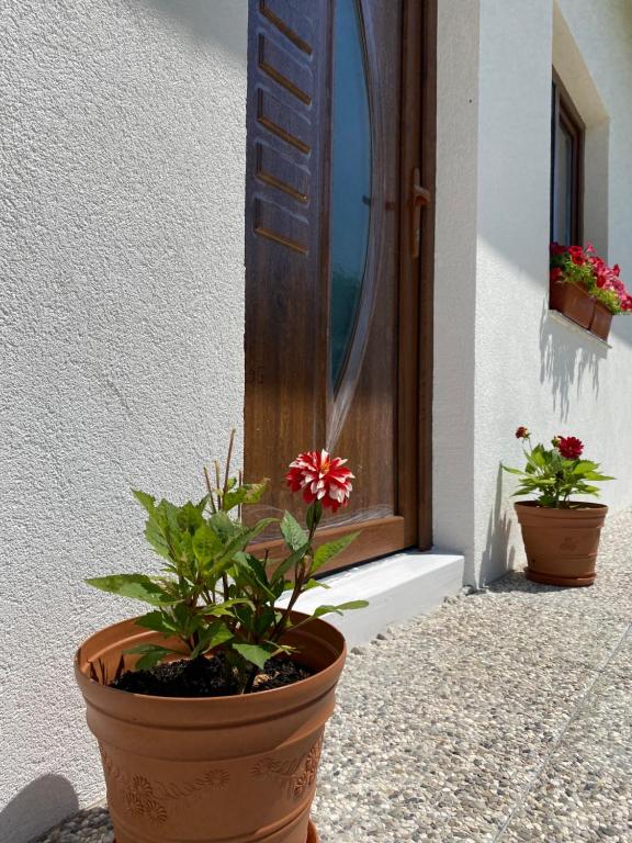 Hill House Emir - 5