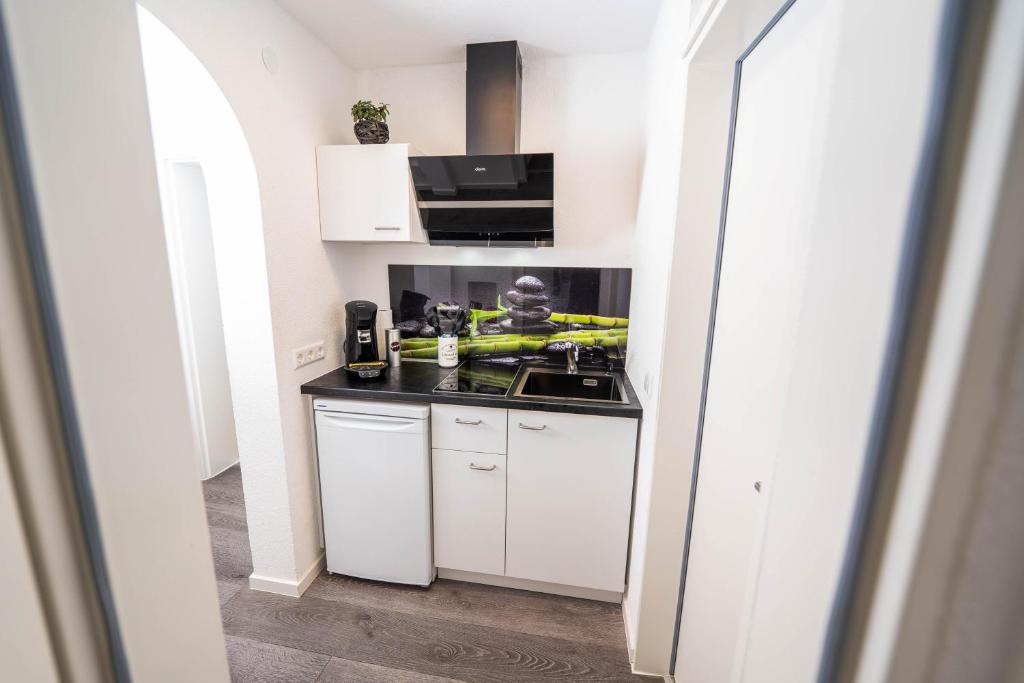 City Apartments FN L7 KLIMATISIERT-mit Kuche 전경