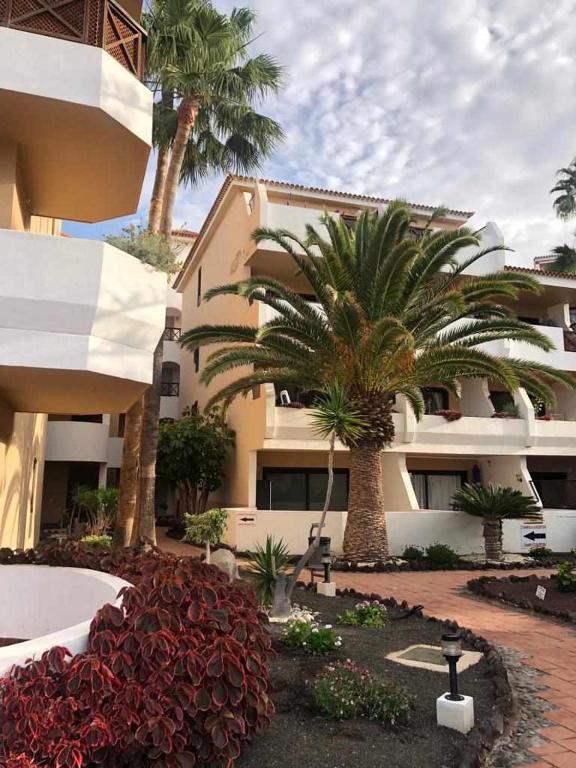 Apartamento Albatros Golf del Sur Apt. 257 - 2