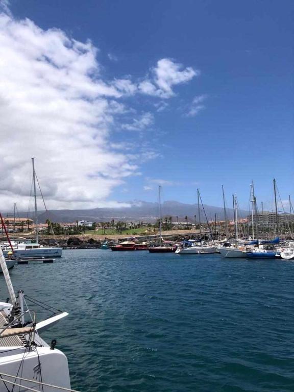 Apartamento Albatros Golf del Sur Apt. 257 - 4