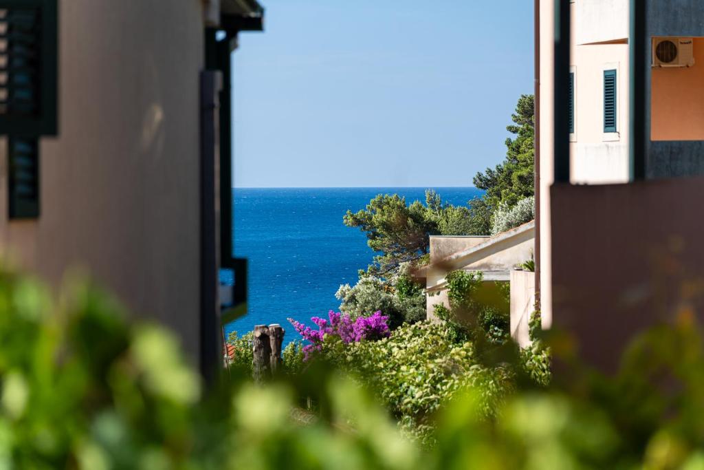 Petrovac Holiday Apartments 2 - 1