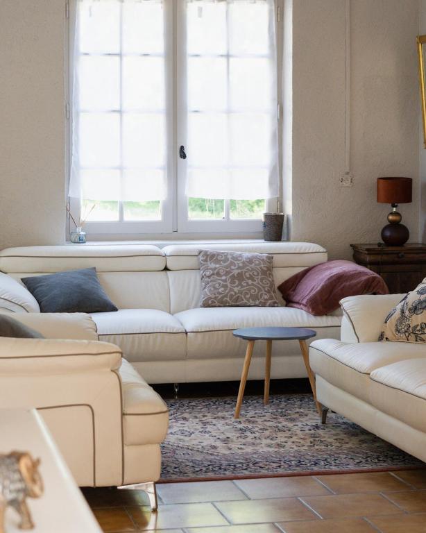 共用ラウンジ/TVエリア