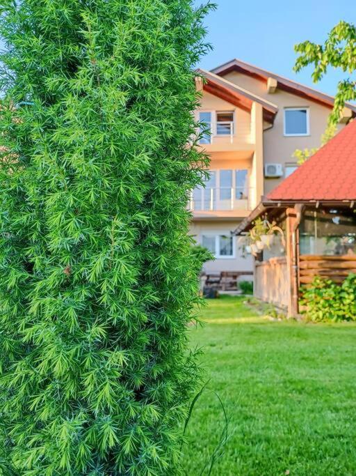 Villa Majida Ilidža - 5