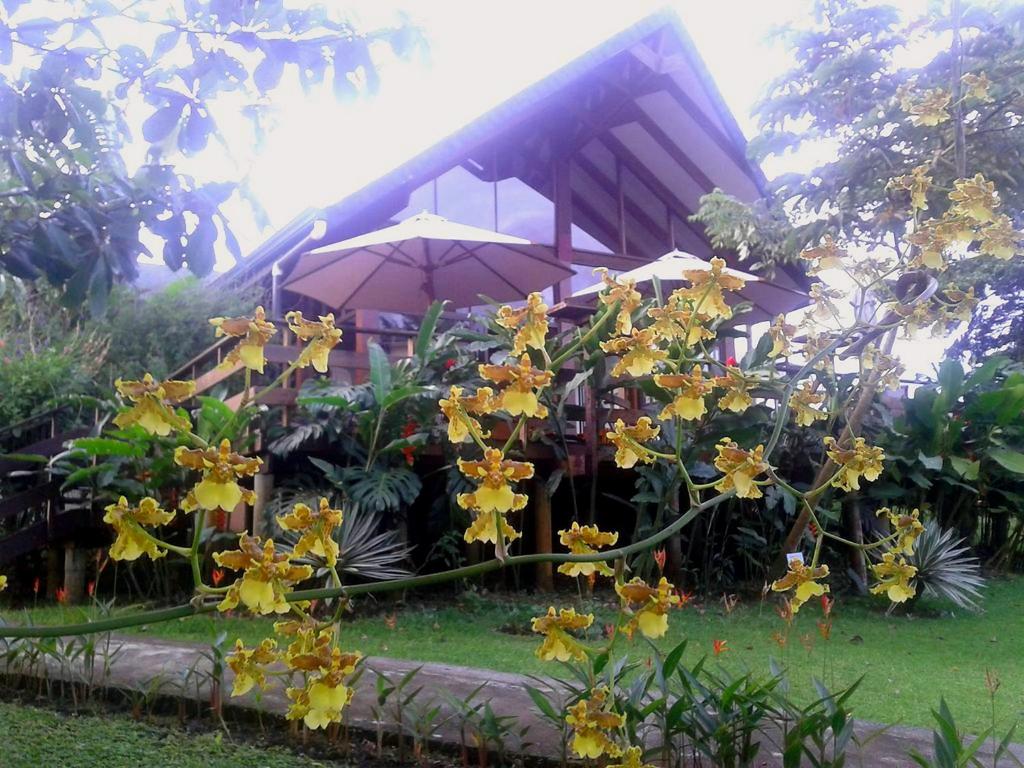 Tenorio Lodge photo