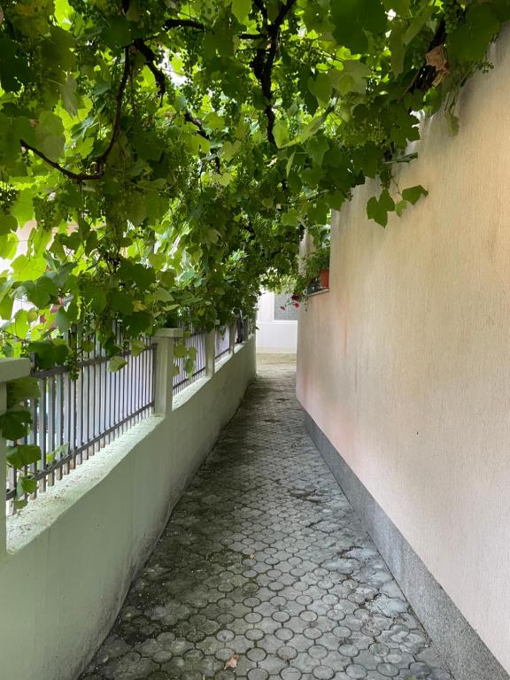 Apartment Grape Sarajevo - 4
