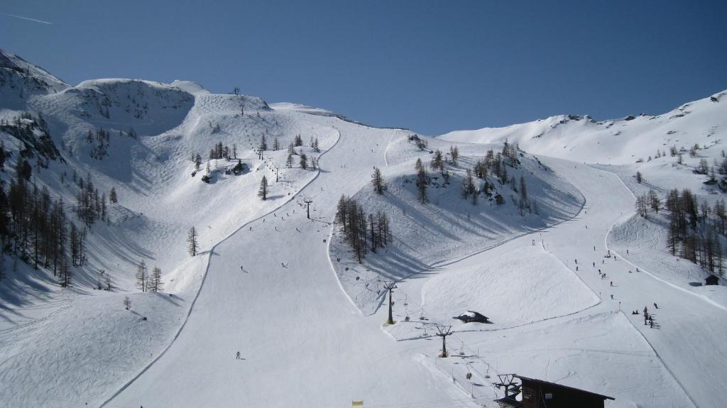 Apart Alpenrose Spiss - 4