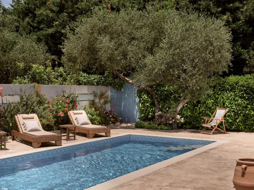 Jasmine Suites — Hotel in Zakynthos Island
