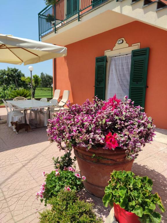 La casa tra verde e mare - 4