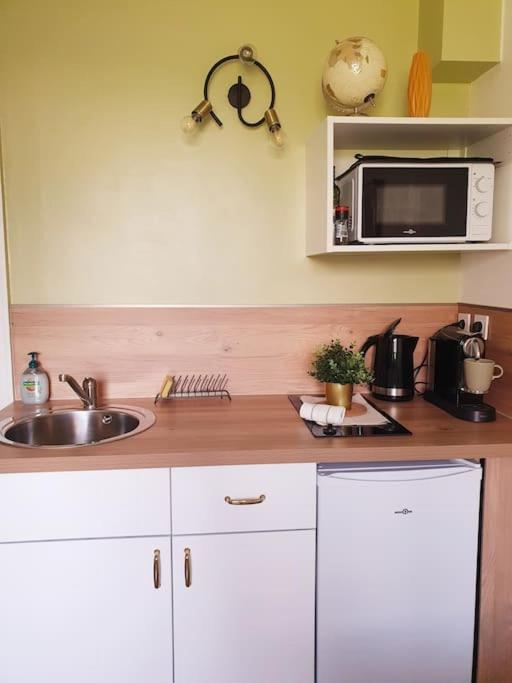 Studio "Côté Jardin" Mutualiste Grenoble - 5