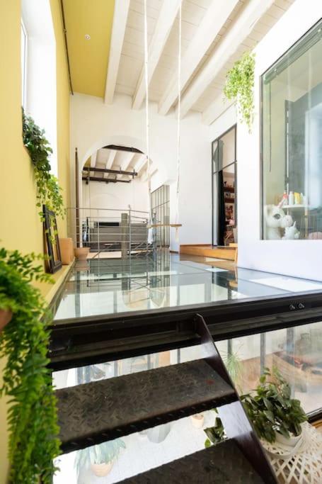 Le Loft du Vieux-Port - St Victor - 5