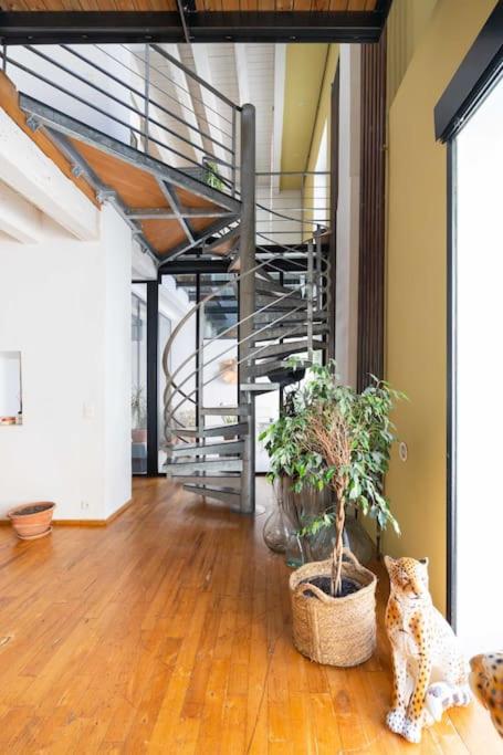 Le Loft du Vieux-Port - St Victor - 2