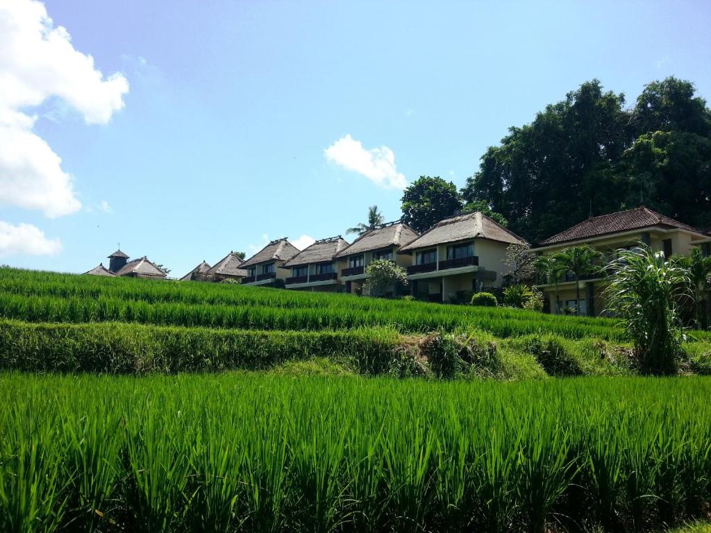 ทัศนียภาพ