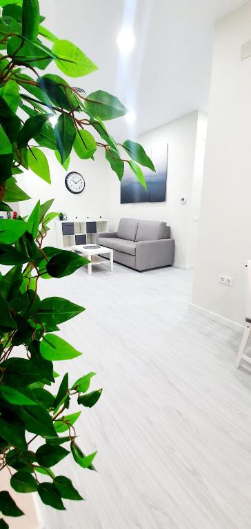Apartamento Plaza Calzada 1 - 1