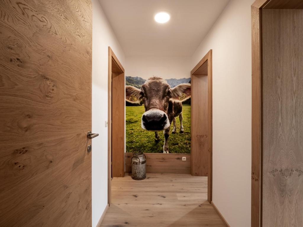 Bergpanorama Kössen, Kössen