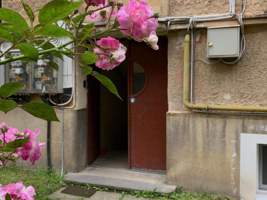Petra House photo