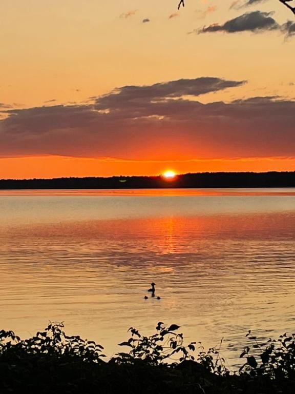 Sjönära stuga, Norrtälje