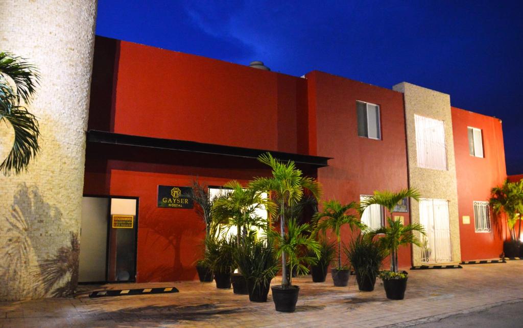Gayser Apartamentos - 1