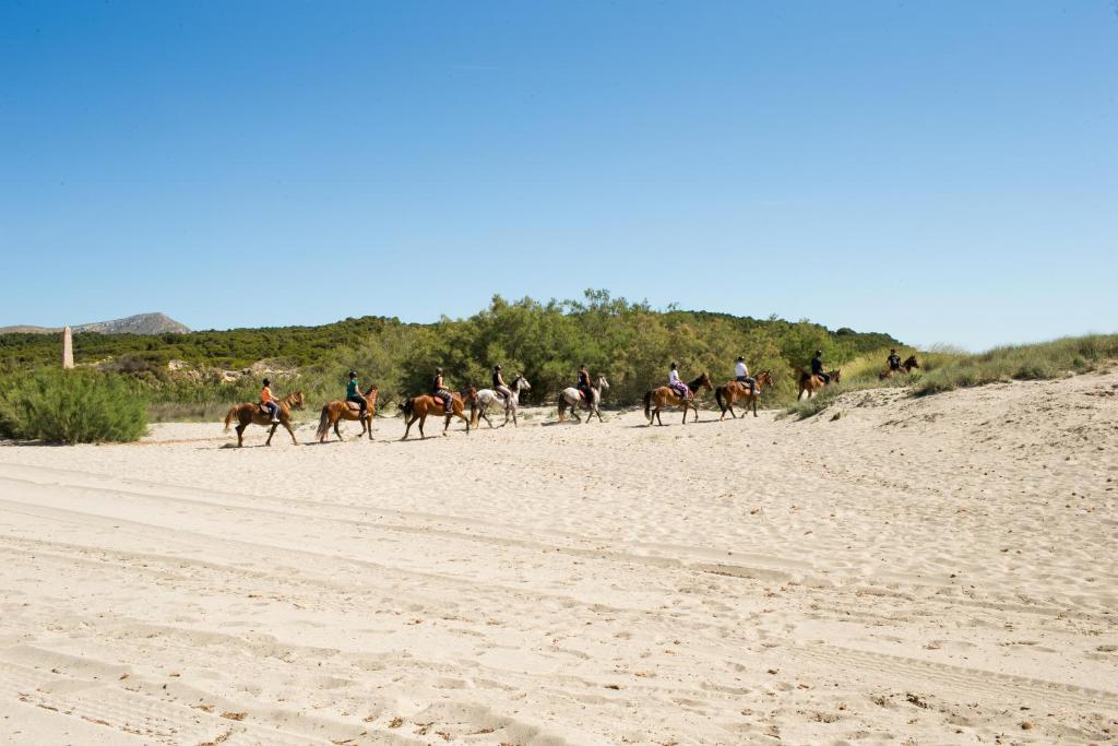 Agroturismo Can Pere Rei photo