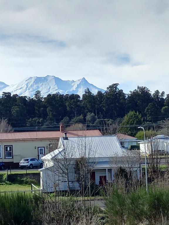 Rimu, Ohakune