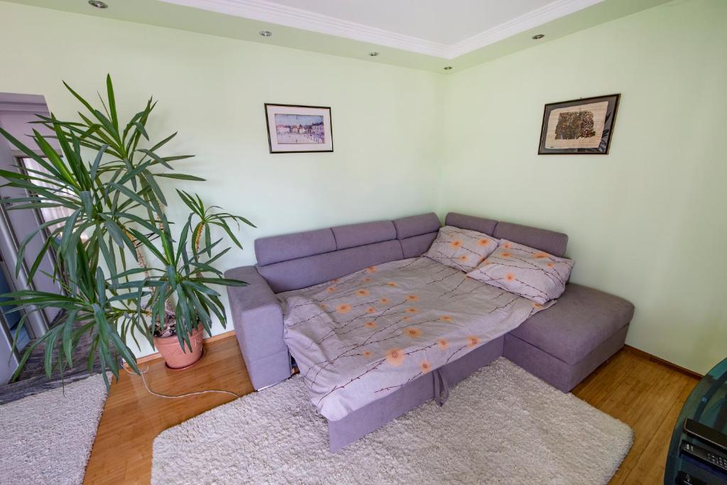 Spacious apartment (60sqm) with a balcony - 4