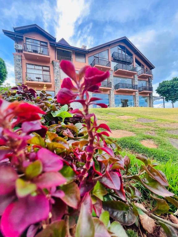 Marabedda Gardens Resort photo